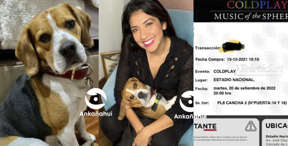 APARECIÓ PERRITO BEAGLE POR EL OFRECIAN ENTRADA A COLDPLAY