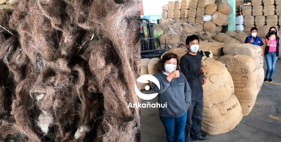 EMPRESA DONA FIBRA DE ALPACA