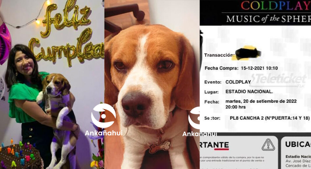 PERRITO KIYO, COLDPLAY