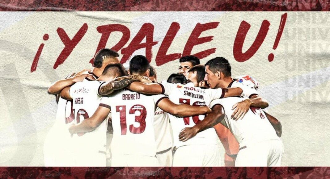 universitario
