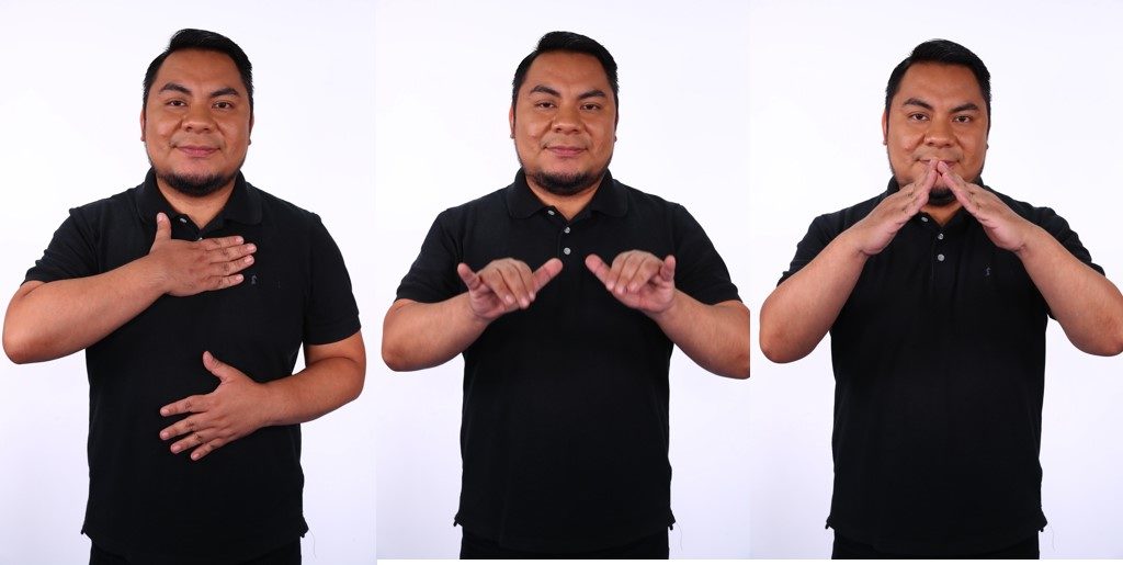 INTÉRPRETE SUFRE ROBO