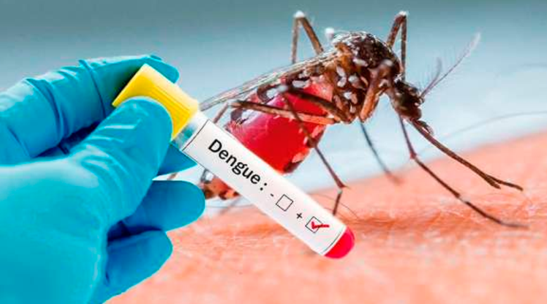 DENGUE