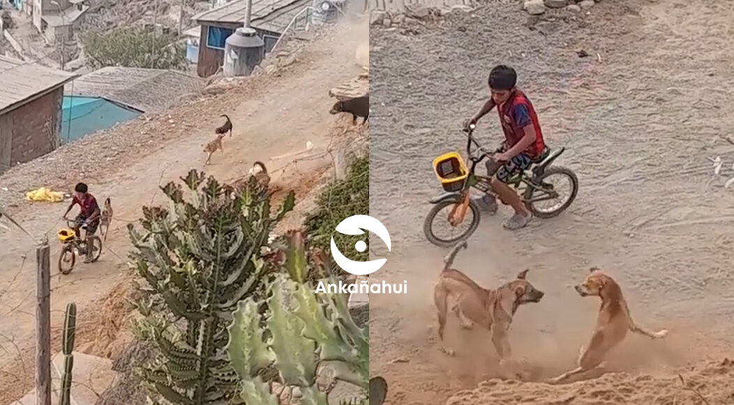 PERRITO DEFIENDE A SU DUEÑO