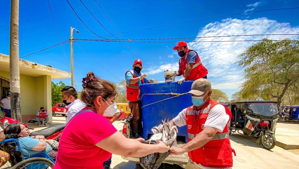 pescado, Caballa, jurel