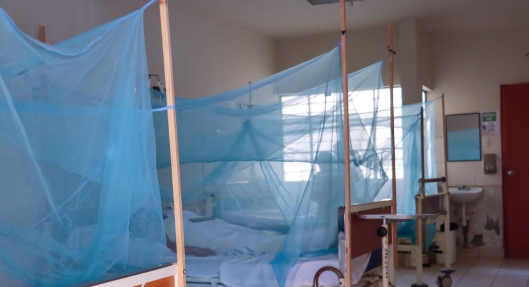 dengue