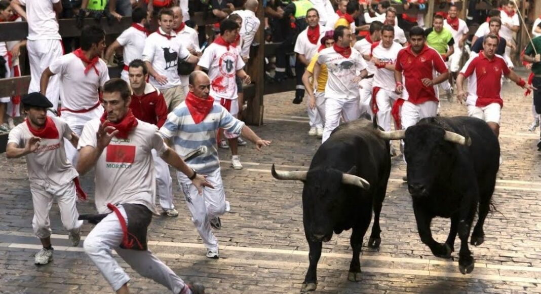 Primer encierro de toros en Pamplona por fiestas de San Fermín.