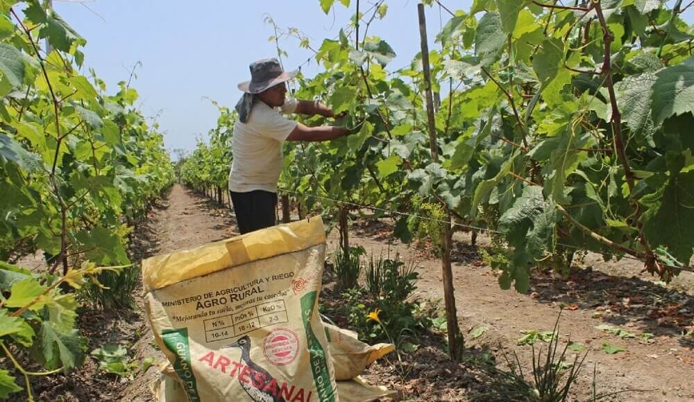 Se amplia plazo para entrega de fertilizantes.