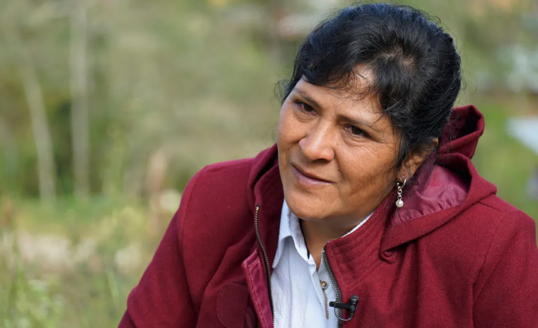 Hermanos de la primera dama para mañana citados mañana a declarar.