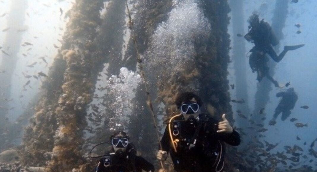 plataforma
