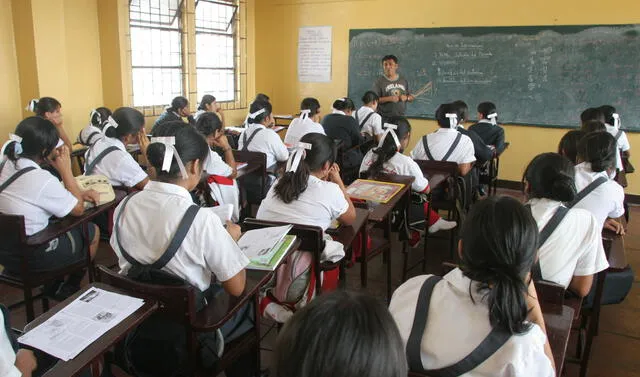 docentes