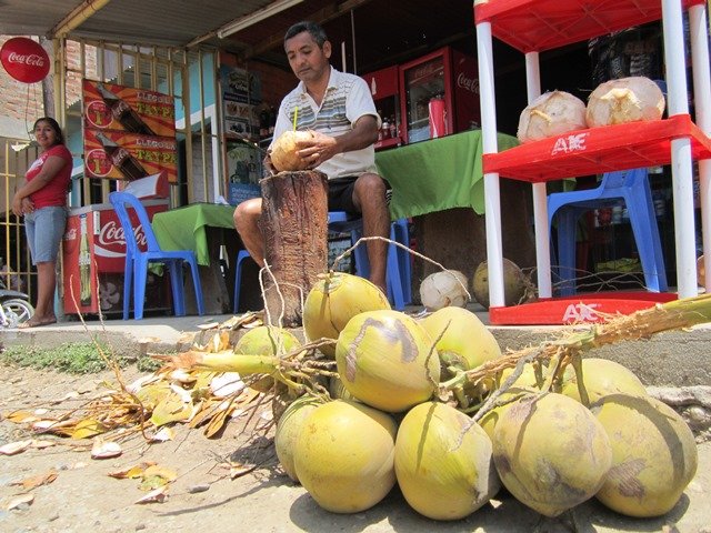 El agua de coco un fruto beneficioso para la deshidratación del dengue.