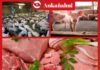 Mayor consumo de cerdo impulsa la producción porcina en Piura produccion-porcina-piura-consumo-cerdo