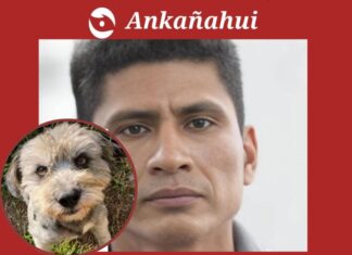 Policía asesina a perro con un fusil de asalto y se da a la fuga policia-mata-perro-fusil-piura