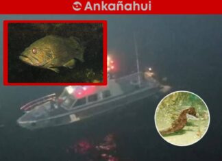 Usan drones para combatir la pesca ilegal en Piura y Tumbes uso-drones-pesca-ilegal-mar-tropical-grau.jpg