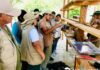 Buscan salvar a las abejas sin aguijón en Piura gore-piura-ayuda-recuperar-abejas-sin-aguijon.jpg