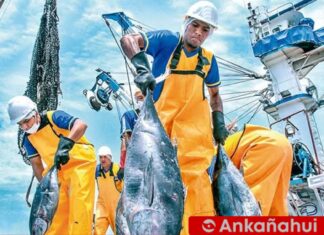 Entregan 25 habilitaciones sanitarias a pescadores de Paita sanipes-entrega-habilitaciones-sanitarias-pescadores-yacila.jpg