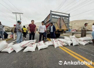 Destinan S/170 millones para enfrentar crisis del arroz