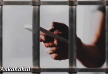 Congreso endurece penas tras aprobar reformas contra crimen organizado