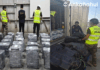 Cae cargamento de «Los Reyes del Puerto» tras operativo