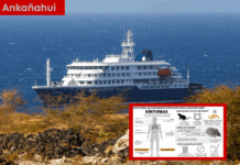 Mortal brote de hantavirus en crucero