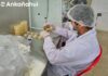 Iniciaron producción en el valle del Chira de microorganismos benéficos para proteger el banano