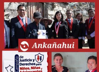Poder judicial inicia campaña nacional tras identificar miles de casos de desprotección