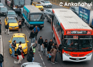 Gremios de transporte anuncian paro nacional tras falta de acuerdos
