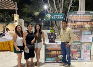 Impulsan el comercio local desde el «Parque de las Aguas» parque-de-las-aguas-piura-activacion-inmobiliaria-ipsum.jpg