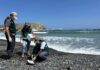 Investigan constantes muertes de aves marinas en playas de Piura serfor-monitoreo-inusual-muerte-aves-playas-piura.jpg
