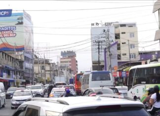 UNP y Municipalidad de Piura buscan frenar el caos vehicular en la Av. Sánchez Cerro serfor-monitoreo-inusual-muerte-aves-playas-piura.jpg