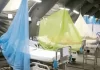 Dengue sin freno en el norte
