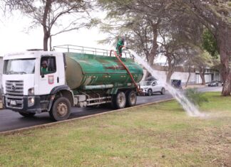 MPP mejora el ornato de cuatro avenidas de la ciudad